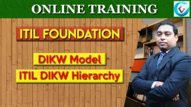 DIKW Model Thumb